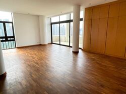 The Colonnade (D10), Condominium #486366451